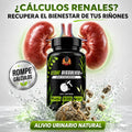 Stone Dissolver + 🌿 Disuelve cálculos renales de forma natural
